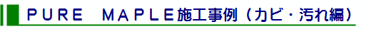 ピュアメイプルカビ・汚れロゴ